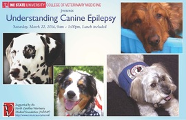 Canine Epilepsy Symposium at NCSU-CVM flier