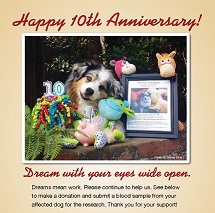 Toby's Foundation 10th Anniversary Ad Dream with Your Eyes Wide Open 2