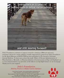 Toby's Foundation 11th Anniversary ad 2