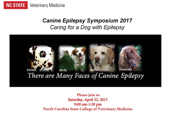 Munana Epilepsy Outreach Symposium 2017 Final 2